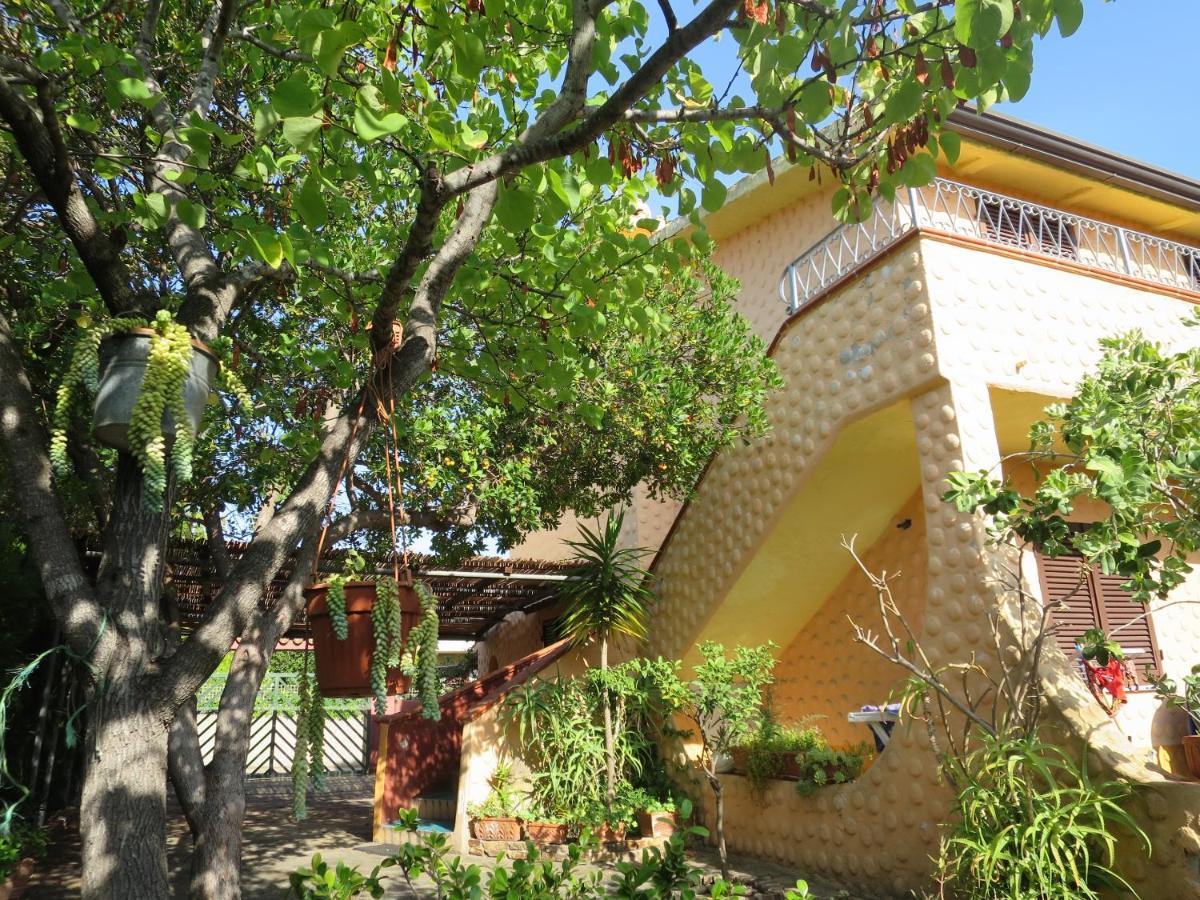 Appartement Iocchedda